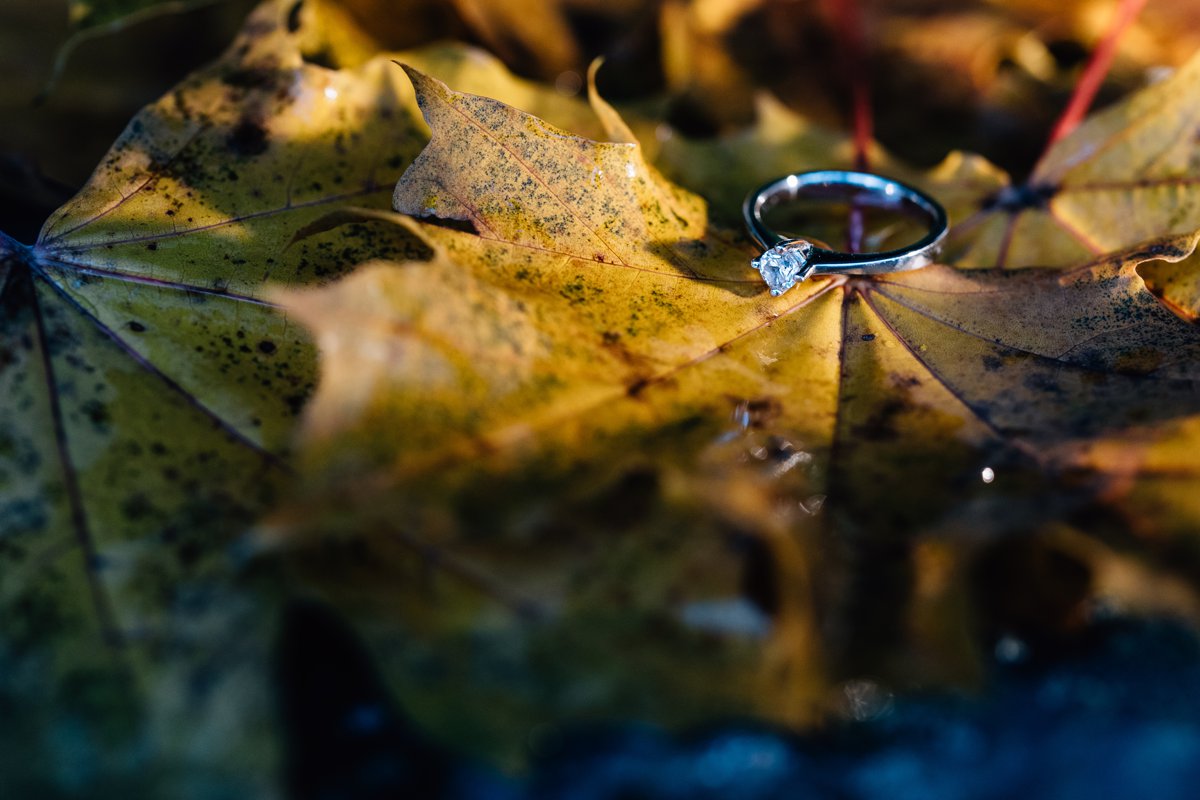 engagement_session_nicole_michael 9