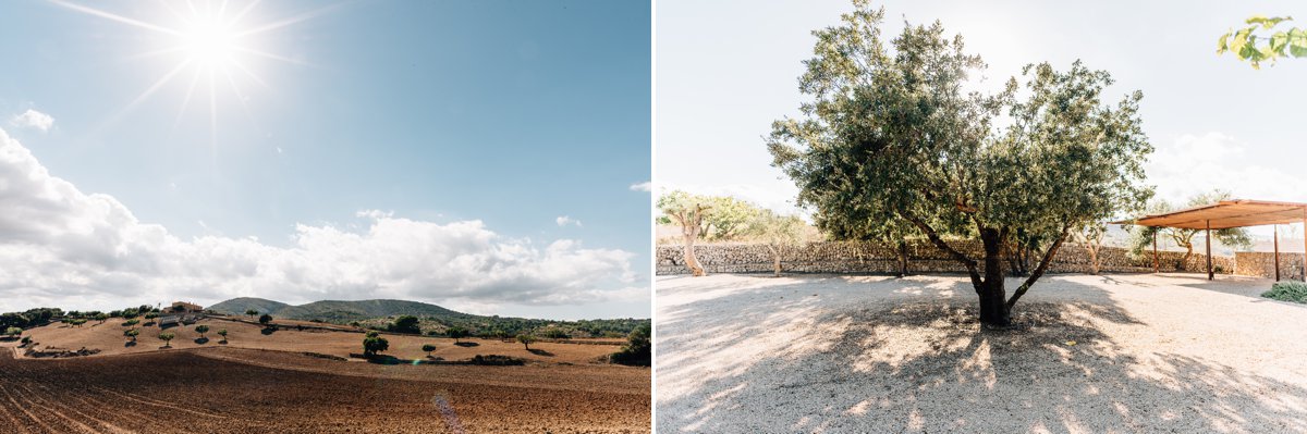 mallorca_destination_wedding_anne_alex_hochzeitsfotograf_reise_rhein-main_frankfurt_palma_malle 20